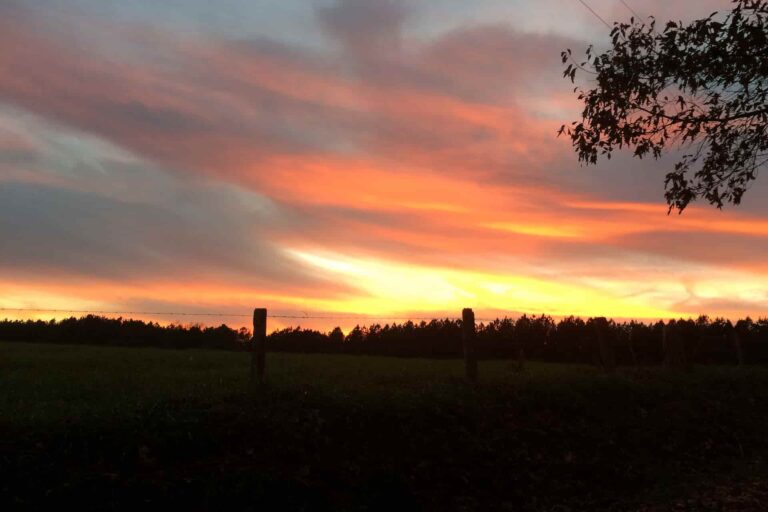 Orange and yellow sky at dusk along a country road